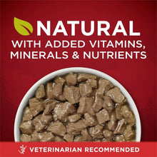 Wet dog food chunks in a bowl, natural recipe with added vitamins & minerals