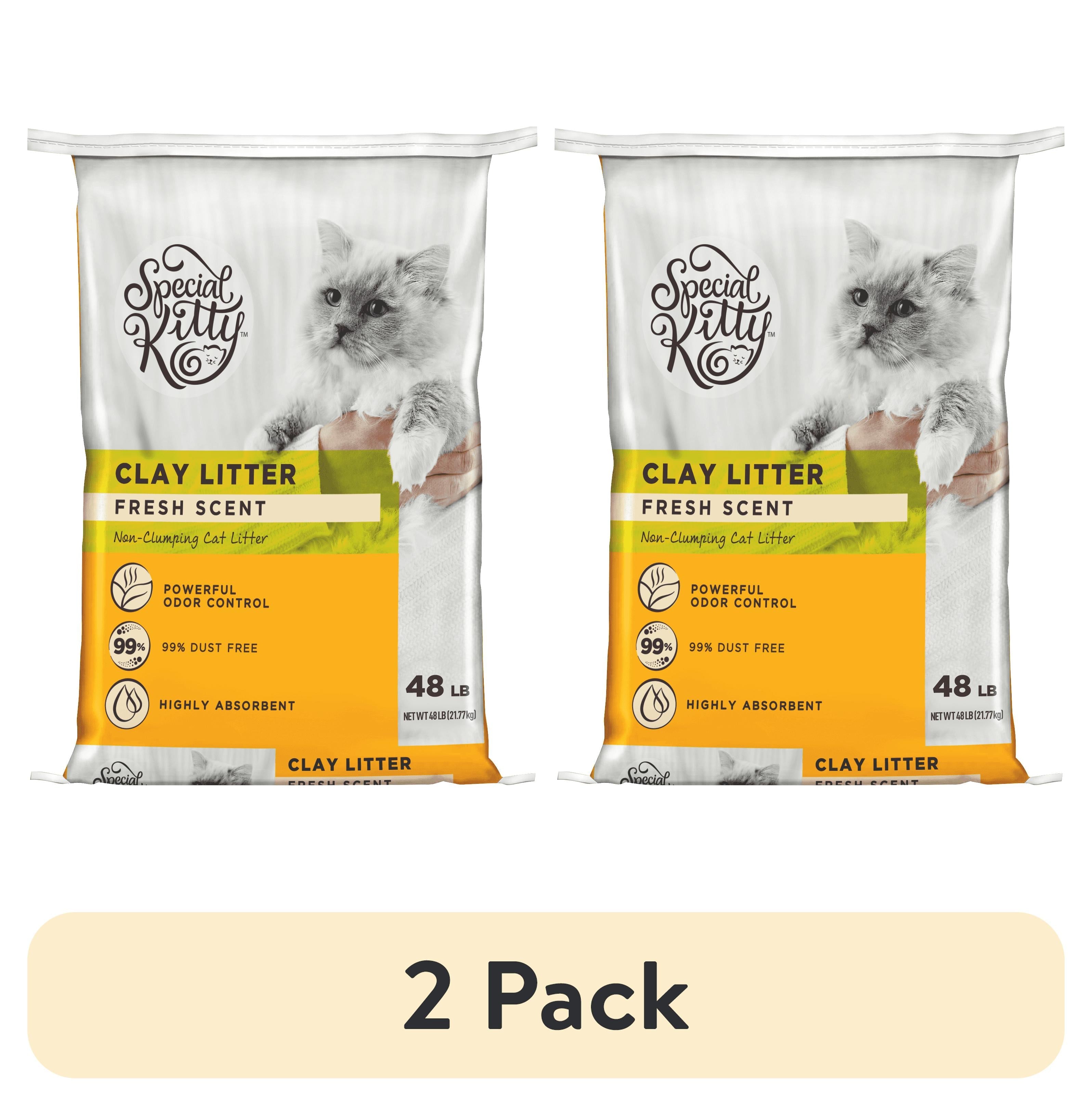 Special Kitty Non-Clumping Clay Cat Litter, Fresh Scent, 48 lb Bag