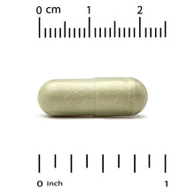 Olive-green veggie capsule with size ruler markings
