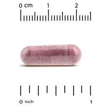 Pink cranberry phytosome capsule with size scale in cm and inches