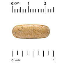 Organic multivitamin tablet, single tablet with size scale