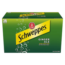 Schweppes Ginger Ale 36-pack soda box with green can design and bubbles