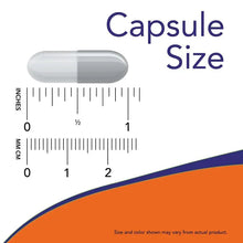Gray and white capsule beside measurement scale for capsule size reference