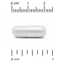White veggie capsule next to inch and cm measurement scale