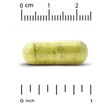 Green quercetin veggie capsule with size scale from 0 to 2 cm