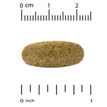 Oval beige tablet with ruler scale, shown from 0 to 2 inches