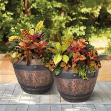 Two barrel wood planters with dark green bands, filled with multicolor plants