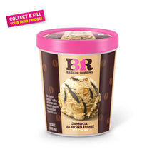 BR Baskin Robbins mini ice cream tub in Jamaica Almond Fudge flavor