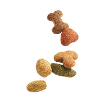 Assorted dry dog kibble pieces in tan and green-brown colors