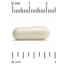 Single white capsule with measurement scale for length reference