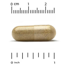 Tan veggie capsule with size ruler marks