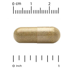 California Gold Nutrition, Akkermansia 30B PLUS with Berberine Phospholipid Matrix, and OEA, 60 Veggie Capsules