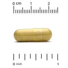 Berberine advanced veggie capsule, gold-tinted softgel shown beside a ruler