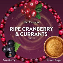 Air Wick scented oil refill blend packaging with red cranberry and black currant details