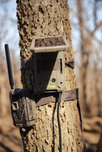 Solar battery pack mounted on a tree with antenna, straps, and connected cables
