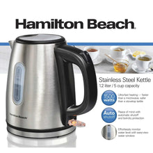 Stainless steel electric kettle with black handle and blue water level window