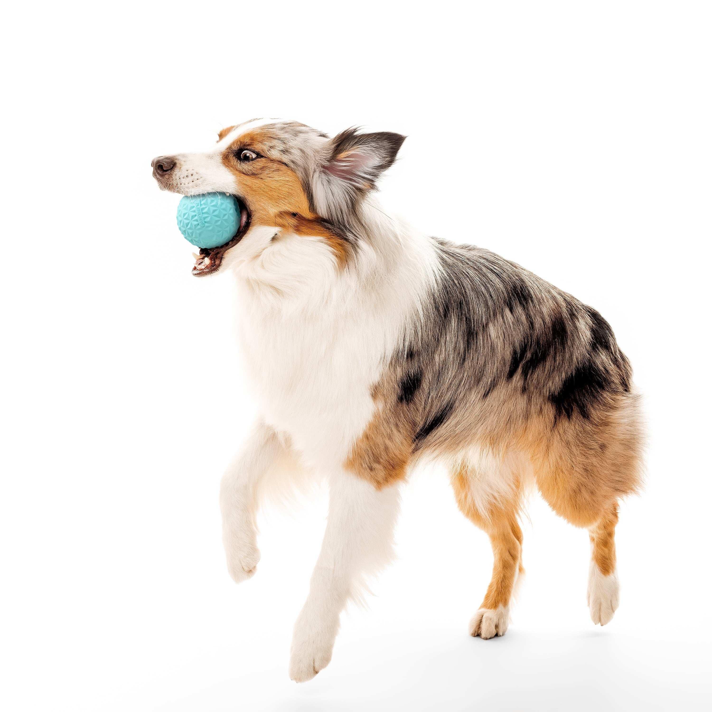 Play by Playology Dog Toys Interactive Dog Balls Crunchy Ball Toy 2-Pack - USA MEGA SHOP