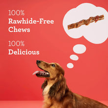 Rawhide-free dog chew promo with chew stick and 100% delicious claim