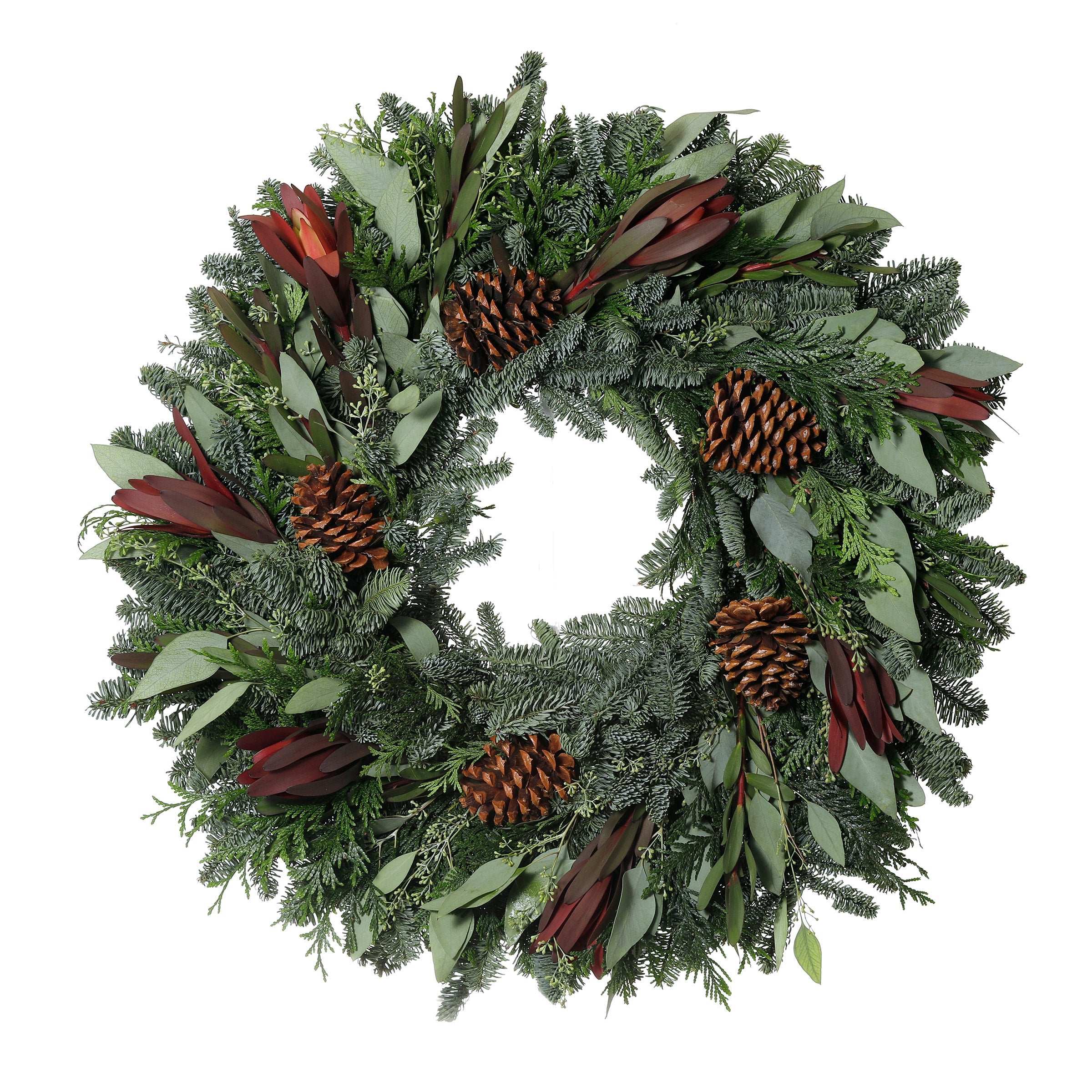 24" Fresh Protea Wreath