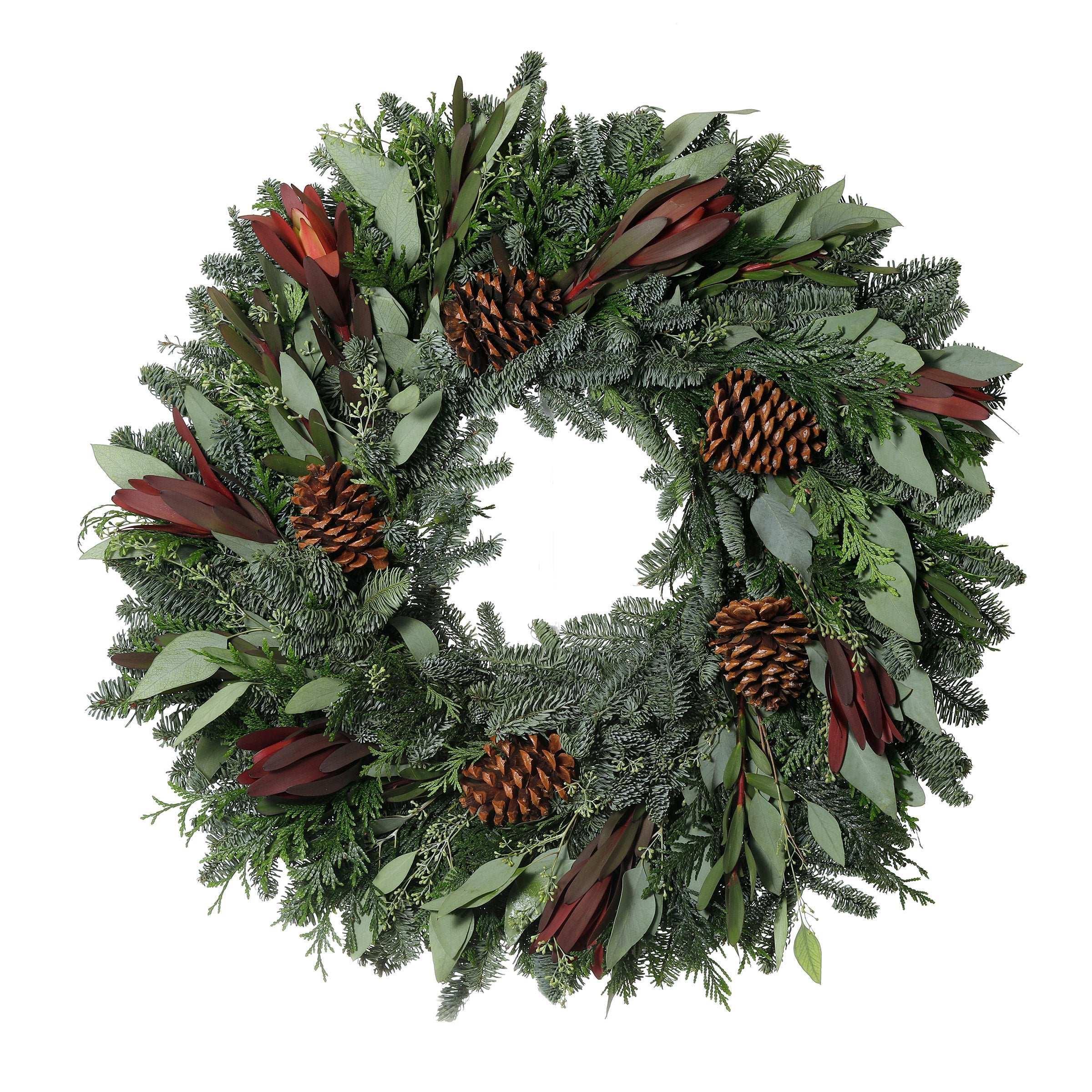24" Fresh Protea Wreath