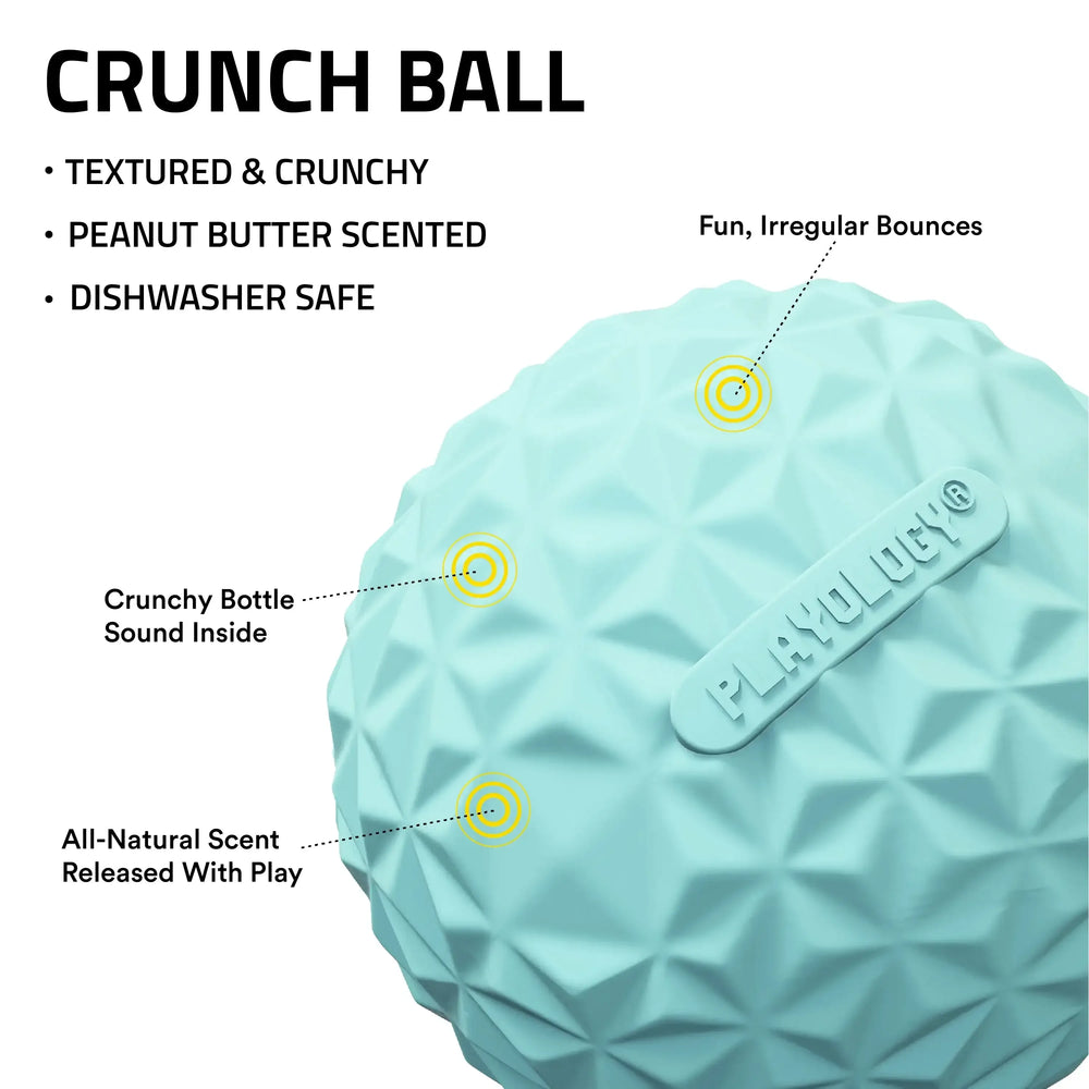 Play by Playology Dog Toys Interactive Dog Balls Crunchy Ball Toy 2-Pack - USA MEGA SHOP