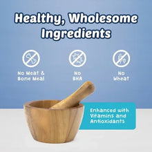 Single beige baked dog treat biscuit in wooden bowl