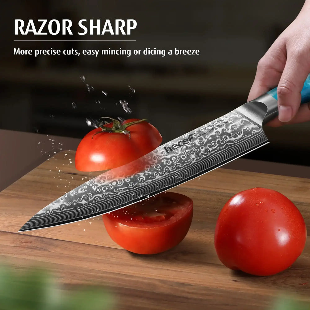 Hecef 8-Inch Chef Knife, Japanese Damascus Steel Blade with Resin Handle - USA MEGA SHOP