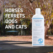 Flea & tick shampoo bottle on tabletop, white with blue Veterinary Formula label