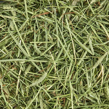All Natural Timothy Hay bundle close-up of green straw-like hay strands