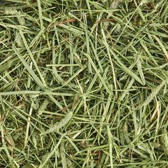 Kaytee Forti-Diet All Natural Timothy Hay , 96 ounce - USA MEGA SHOP