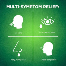 Berkley Jensen allergy relief nasal spray multi-symptom relief icon graphic