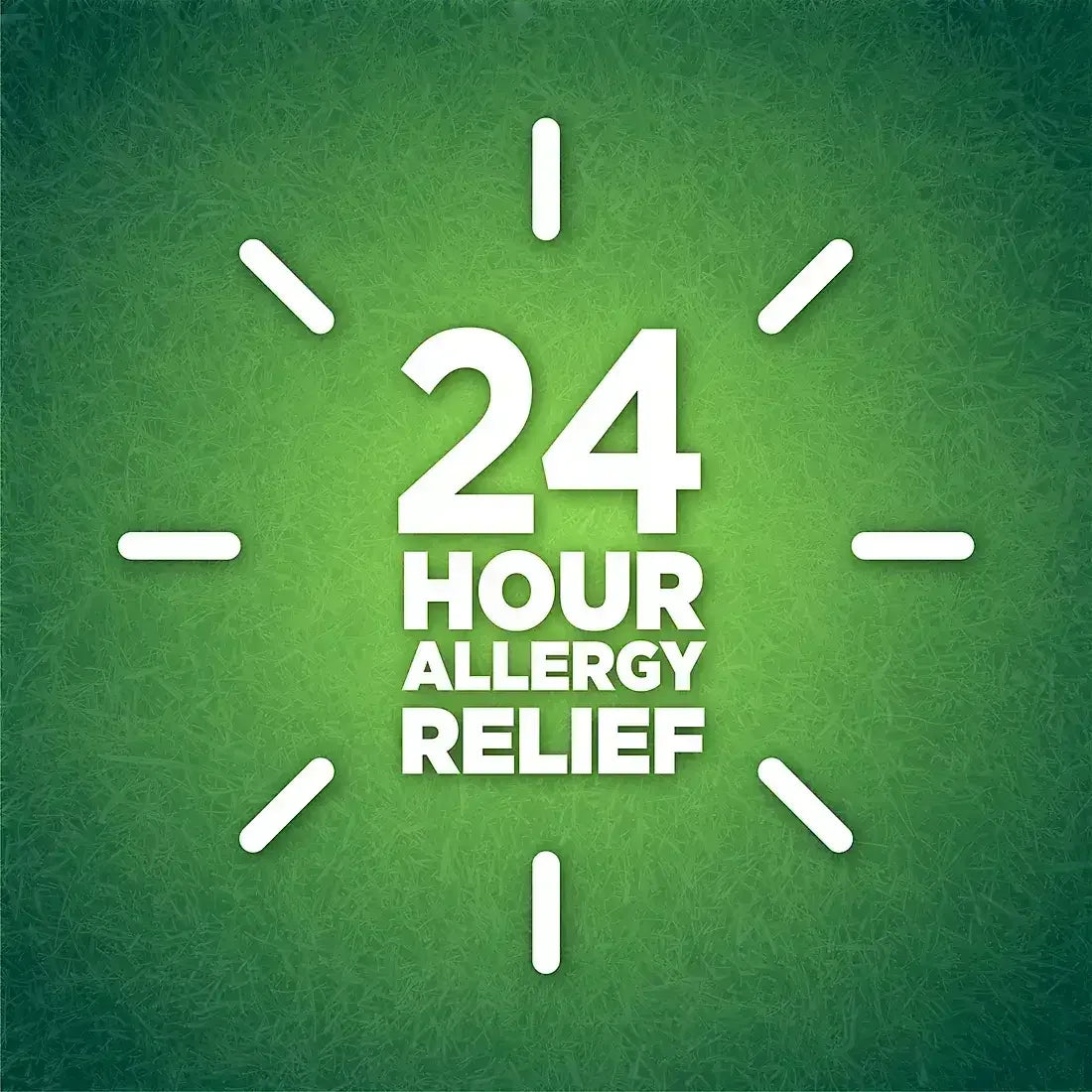 Berkley Jensen 24-Hour Allergy Reliefy, Nasal Spray 4 ct.