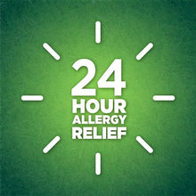 Berkley Jensen 24-hour allergy relief nasal spray graphic