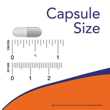 Capsule size chart graphic with capsule silhouette and inch and centimeter rulers
