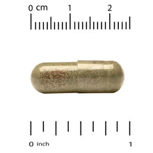 Veggie supplement capsule, olive-brown gelcap with measurement ruler