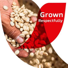 Hand holding light coffee beans with red instant coffee promotional badge