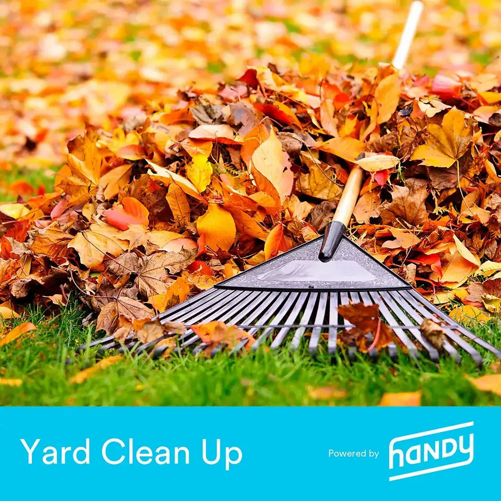 Handy Yard Cleanup, Up to 20k Sq. Ft. - USA MEGA SHOP