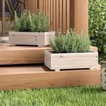 Cedar rectangle planters, two-pack, with green plants on outdoor wood deck.