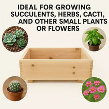 Cedar rectangle planter shown with small plant photo icons for succulents and herbs.