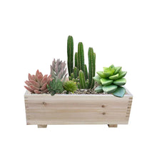 Cedar rectangle planter with mixed succulents and small cacti arrangement.