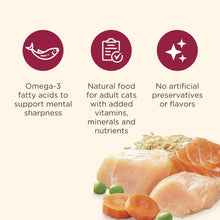 Dry cat food benefits icons with omega-3 support and no artificial preservatives
