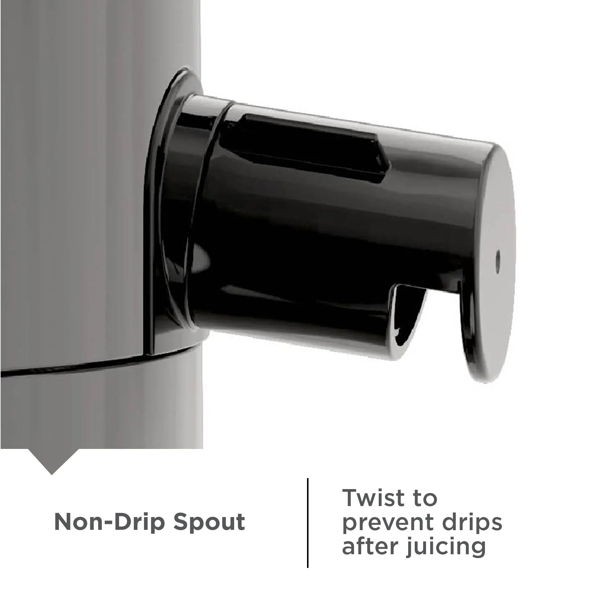 BLACK+DECKER Fruit & Vegetable Juicer Extractor, 400-Watt, Quiet, Black Plastic