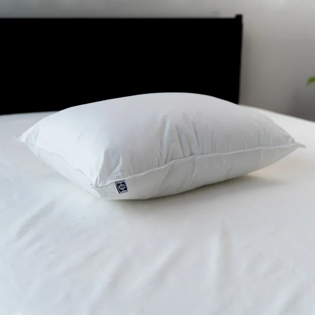 Sealy All Positions Pillow - USA MEGA SHOP