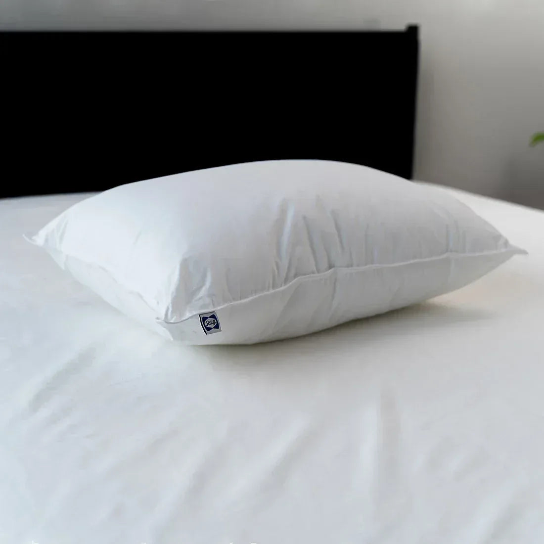 Sealy All Positions Pillow