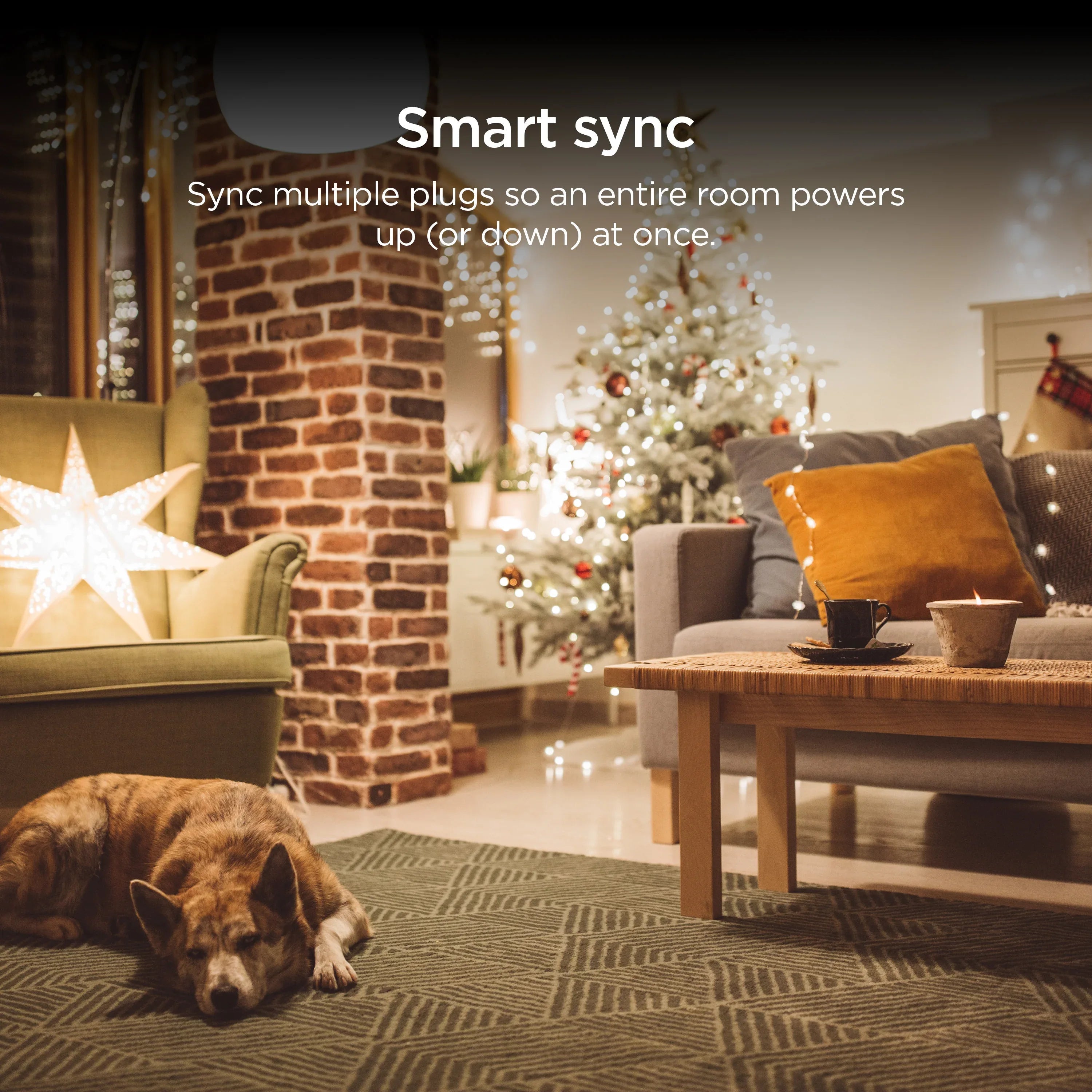 Roku Smart Home Indoor Smart Plug SE with Custom Scheduling, Remote Power, and Voice Control - up to 15 Amps