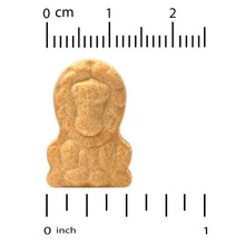 Zinc lozenge sample with measurement ruler scale