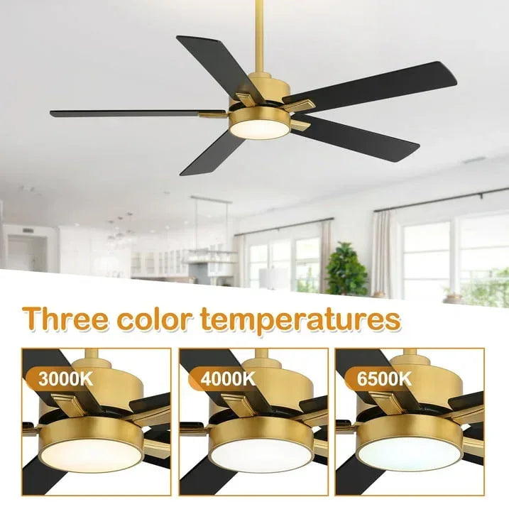 ALKAFY 52 inch Gold & Black LED Ceiling Fan with Remote - Adjustable Reversible Motor for Bedroom Living Room - USA MEGA SHOP
