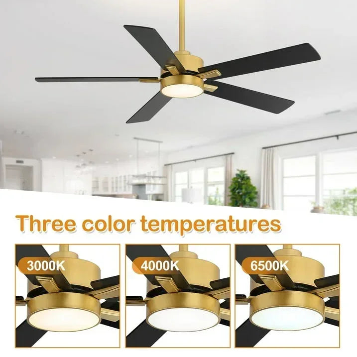 ALKAFY 52 inch Gold & Black LED Ceiling Fan with Remote - Adjustable Reversible Motor for Bedroom Living Room