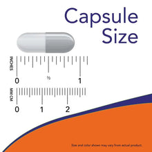 Veg capsule size graphic with measurement lines and gray-blue capsule