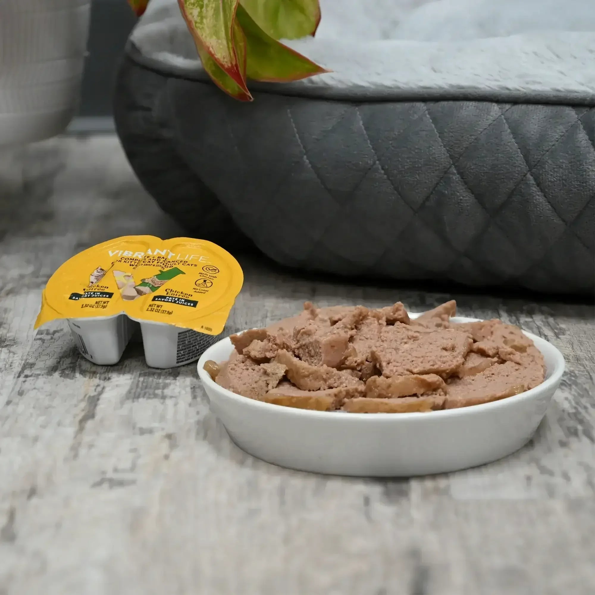Vibrant Life Chicken Pate in Savory Juices Wet Cat Food, Grain-Free, 2.64 oz Split Tray